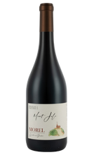 Load image into Gallery viewer, Domaine des Prevelieres Beaujolais Mont Joli 'Pierre Dorees' 2021
