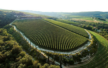 Load image into Gallery viewer, Campagnola Gambellara Classico 2023