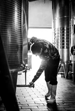 Load image into Gallery viewer, Borgo Paglianetto Terravignata Verdicchio di Matelica DOC 2023