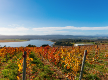 Load image into Gallery viewer, Utzinger Pinot Noir 2024