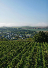 Load image into Gallery viewer, Domaine des Forges Savennières Le Moulin du Gué 2022
