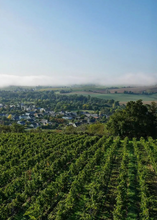 Load image into Gallery viewer, Domaine des Forges Anjou Blanc L'Audace 2024