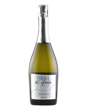 Load image into Gallery viewer, Albino Armani Terre di Gioia Prosecco NV
