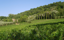 Load image into Gallery viewer, Gianni Brunelli Le Chiuse di Sotto Brunello di Montalcino 2018