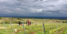 Load image into Gallery viewer, Prunelle de Navacelle Beaujolais Lantignié 2022