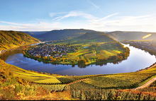 Load image into Gallery viewer, Markus Molitor Haus Klosterberg Trocken 1 Litre 2023