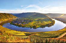 Load image into Gallery viewer, Markus Molitor Riesling Bernkasteler Lay Auslese 2019
