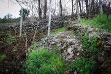 Load image into Gallery viewer, Sicily - Mt Etna Dinner at De vine Restaurant