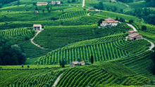 Load image into Gallery viewer, Albino Armani Terre di Gioia Prosecco NV