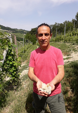 Load image into Gallery viewer, Ferdinando Principiano Nebbiolo Langhe 2022