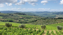 Load image into Gallery viewer, Fiore Chianti 2023