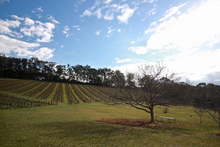 Load image into Gallery viewer, Gembrook Hill Sauvignon Blanc 2024