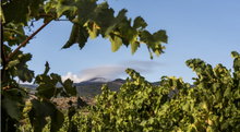 Load image into Gallery viewer, Famiglia Statella Etna Rosso Pettinociarelle 2019