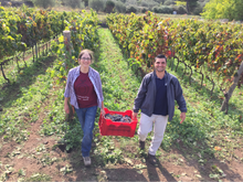 Load image into Gallery viewer, Famiglia Statella Etna Rosso Pettinociarelle 2019