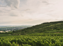 Load image into Gallery viewer, Hiedler Riesling Heiligenstein 2020