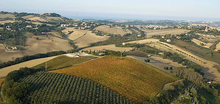 Load image into Gallery viewer, La Calcinara Bianco Clochard Verdicchio Chardonnay 2023