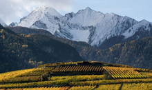 Load image into Gallery viewer, Les Cretes Petite Arvine 2025