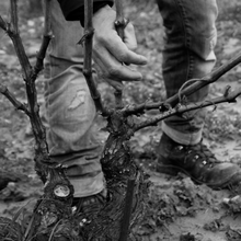 Load image into Gallery viewer, Maisulan Tempranillo Madurado 6 Meses 2020