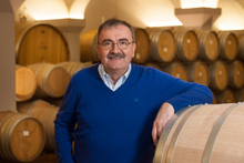 Load image into Gallery viewer, Mauro Molino Barbera d'Alba 2024