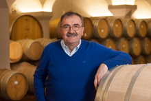 Load image into Gallery viewer, Mauro Molino Nebbiolo Langhe 2022
