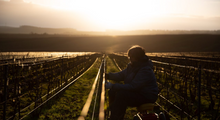Load image into Gallery viewer, Noël Bazin 1er Cru L'Exigeante Brut Blanc de Blancs Millesime 2018
