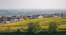 Load image into Gallery viewer, Nöel Bazin Blanc de Blancs Brut L'Unanime NV