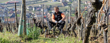 Load image into Gallery viewer, Paul Kubler Pinot Gris 'Les Combes' 2022