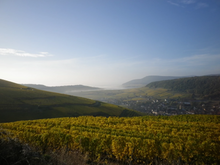 Load image into Gallery viewer, Paul Kubler Riesling Les Pierriers 2023