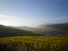 Load image into Gallery viewer, Paul Kubler Pinot Gris 'Les Combes' 2022