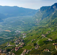 Load image into Gallery viewer, Peter Zemmer Pinot Grigio 2023
