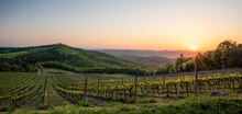 Load image into Gallery viewer, Poggio al Sole Chianti Classico 2022
