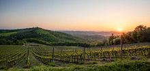 Load image into Gallery viewer, Poggio al Sole Chianti Classico 2021
