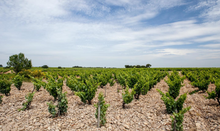 Load image into Gallery viewer, Raymond Usseglio Côtes du Rhône Rouge Les Claux 2022