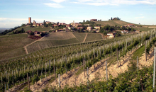 Load image into Gallery viewer, Sottimano Barbaresco Pajore 2019