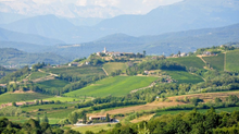 Load image into Gallery viewer, Sassolino Pinot Grigio 2024
