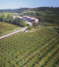 Load image into Gallery viewer, Zuani Vigne Riserva 2020