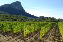 Load image into Gallery viewer, Domaine de Coursac Les Garriguettes Rouge 2020