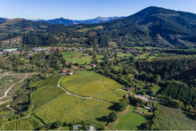 Load image into Gallery viewer, Astobiza Txakoli 2024