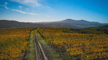 Load image into Gallery viewer, Casanova di Neri Brunello di Montalcino DOCG 2018