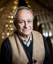 Load image into Gallery viewer, Szepsy Tokaji Furmint Dry Madi 2021