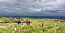 Load image into Gallery viewer, Prunelle de Navacelle Beaujolais Régnié 2022
