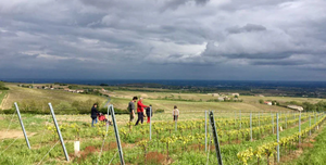 Prunelle de Navacelle Beaujolais Régnié 2022