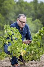 Load image into Gallery viewer, Josep Grau Grenache Tinto  La Florens 2023

