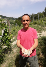 Load image into Gallery viewer, Ferdinando Principiano Nebbiolo Langhe 2022
