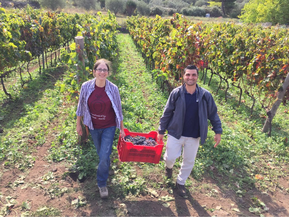 Statella Famiglia Statella Etna Rosso 2022 – wine4u