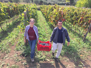 Famiglia Statella Etna Rosso Pettinociarelle 2019