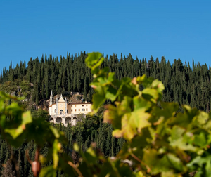 Le Salette Valpolicella Ripasso Classico Superiore i Progni 2021