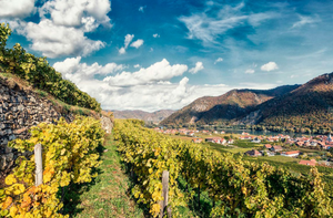 Rudi Pichler Grüner Veltliner Federspiel 2023