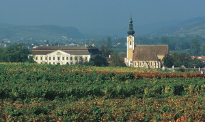 Schloss Gobelsburg Zweigelt 2020