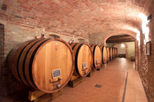 Load image into Gallery viewer, Elio Grasso Langhe Chardonnay Educato 2024
